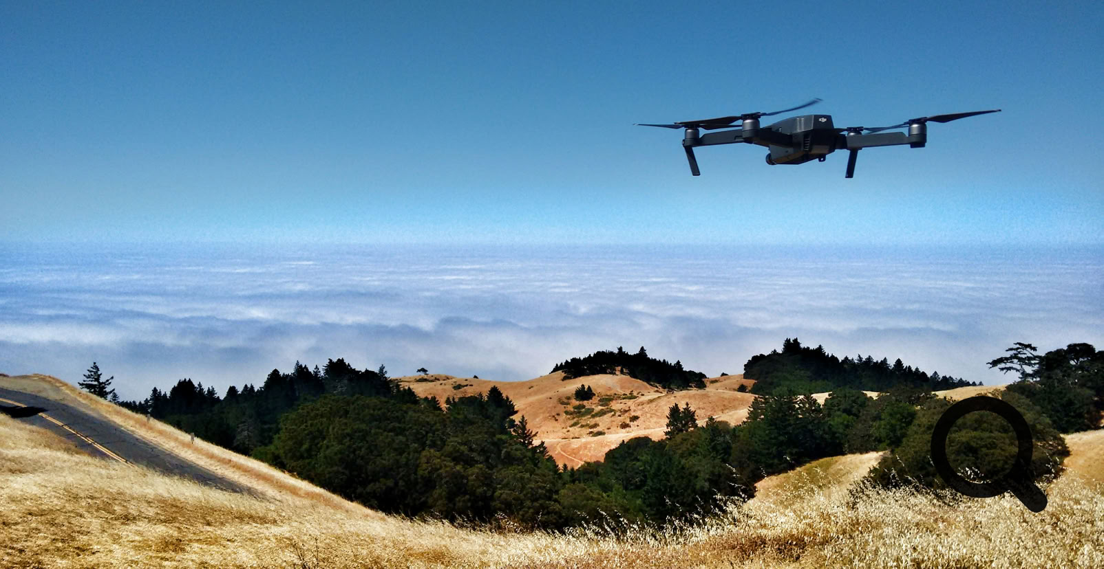 Schwarze Gepflasterte Stra&szlig;e, Die Durch B&auml;ume Umgibt